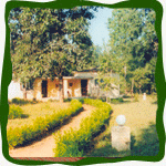 hotels in kanha,accomodation in kanha resorts